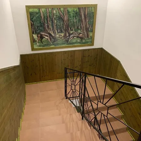 Otel Puszta Berekfürdő