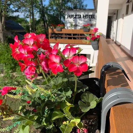 Otel Puszta Berekfürdő