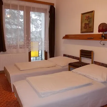 Hotel Puszta 2*